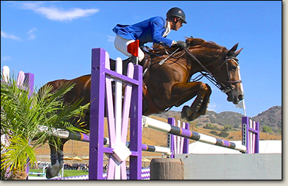 Lane Clarke Grand Prix Show Jumping Horses