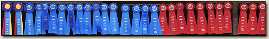 Mickey Hayden Horse Show Results
