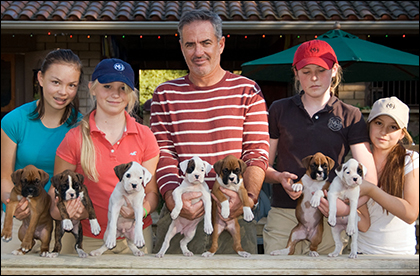 McLord Boxer Puppies by Tony and Piper