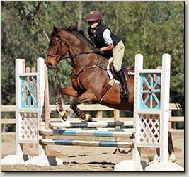 jump lesson Hayden Riding School
