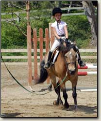 Horseback Riding Longe Line Lesson Hayden Riding School