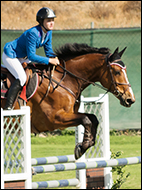 Summer Phillips& Ronaldo Children's Jumpers