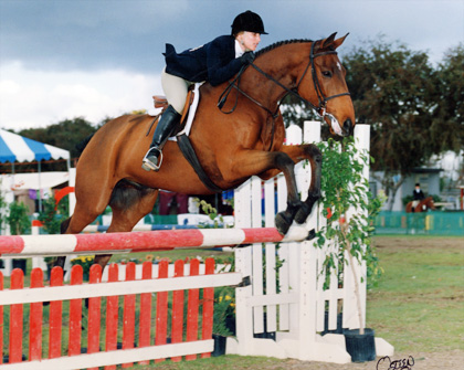 Jenny McLaughlin - 1991 Medal Winner