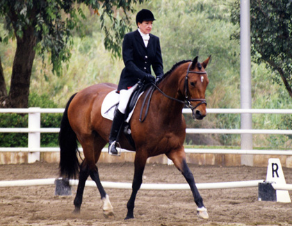 Judy Lezama & Louisiana - Dressage Competitor & Instructor