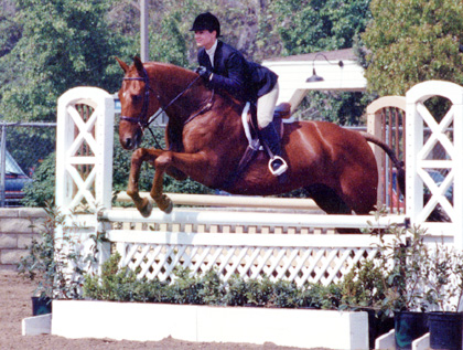 Vera Sapp & Strategy - 1992 - A/O Hunter Champions